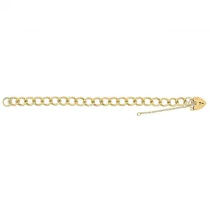 9ct Yellow Gold Ladies Charm Bracelet BR108