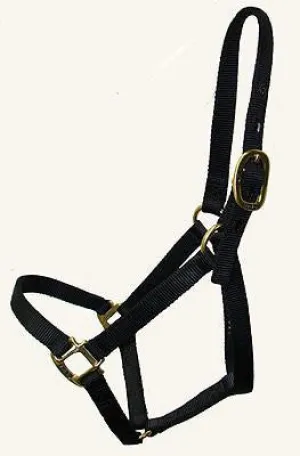 Big D Plain Halter BLACK ONLY (Foal)