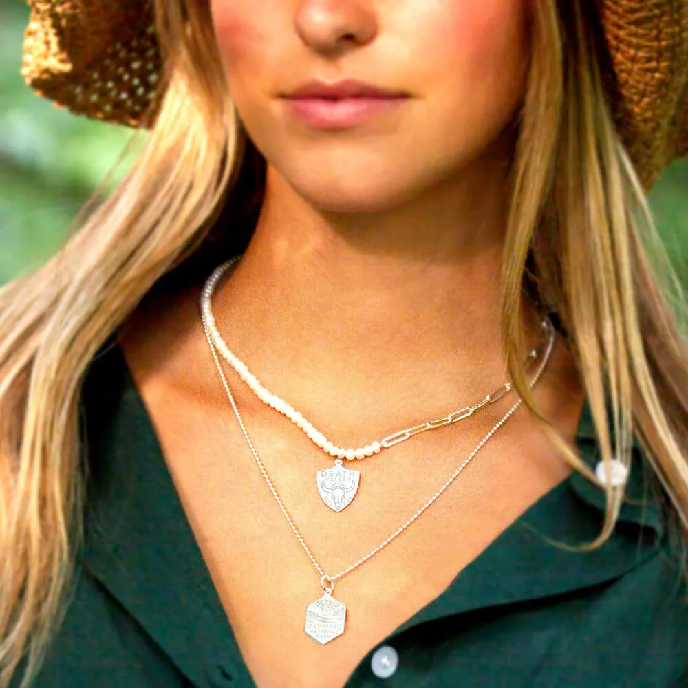 National Park Necklace Bundle, 2 gold charms