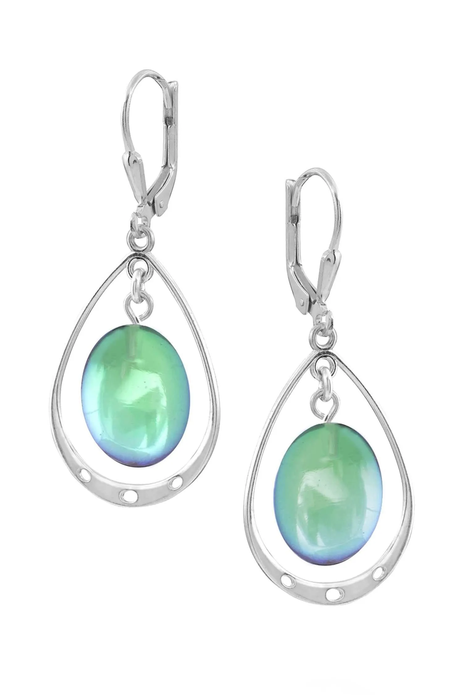 Oval with Loop Earrings
