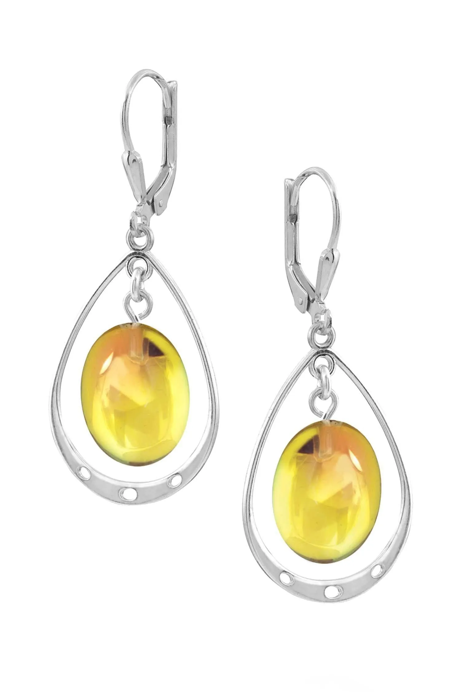 Oval with Loop Earrings