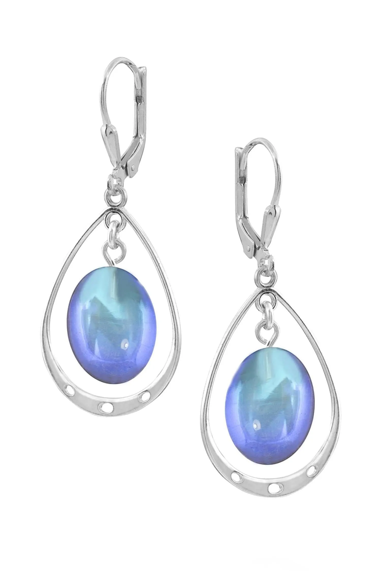 Oval with Loop Earrings