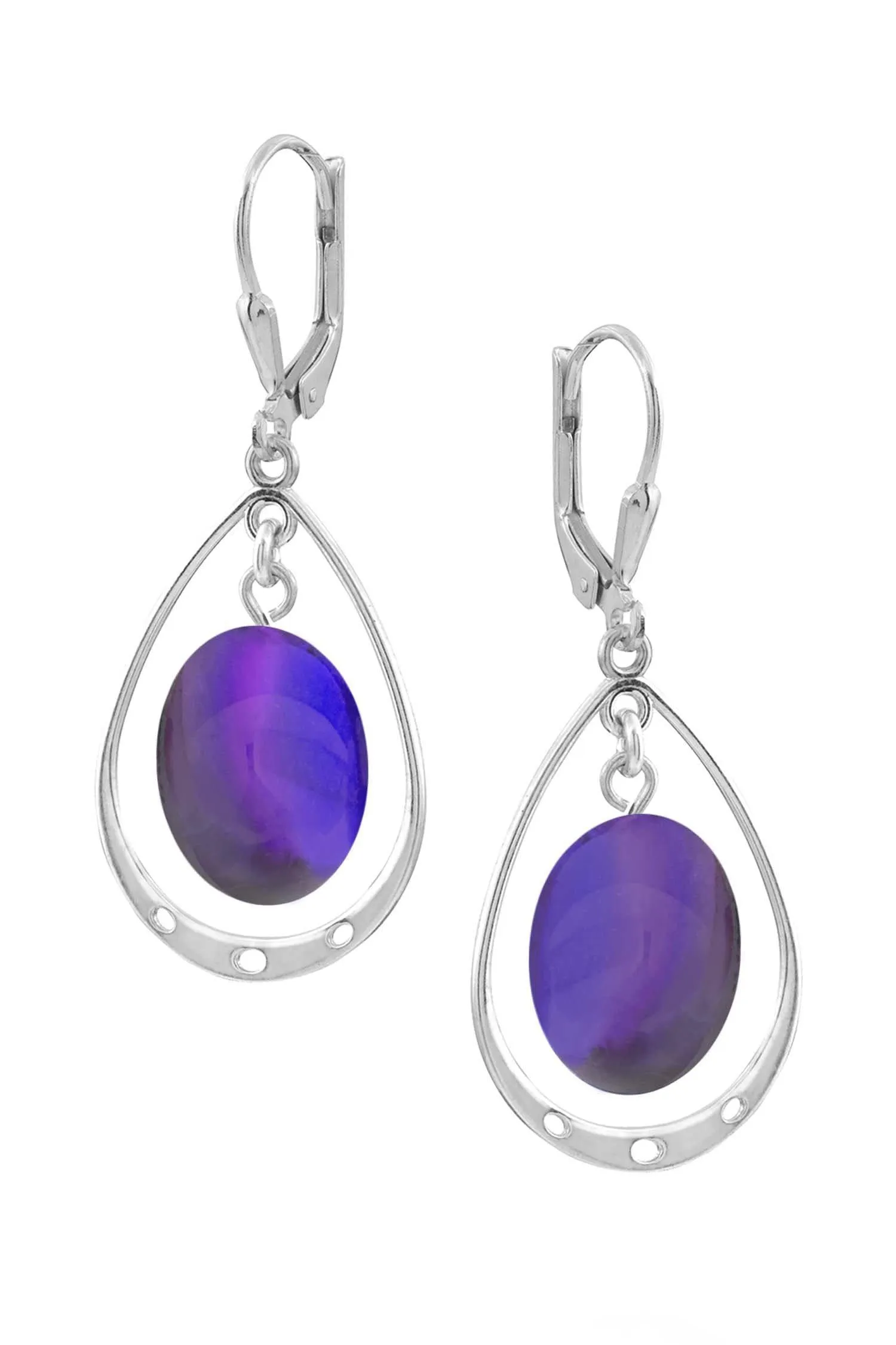 Oval with Loop Earrings