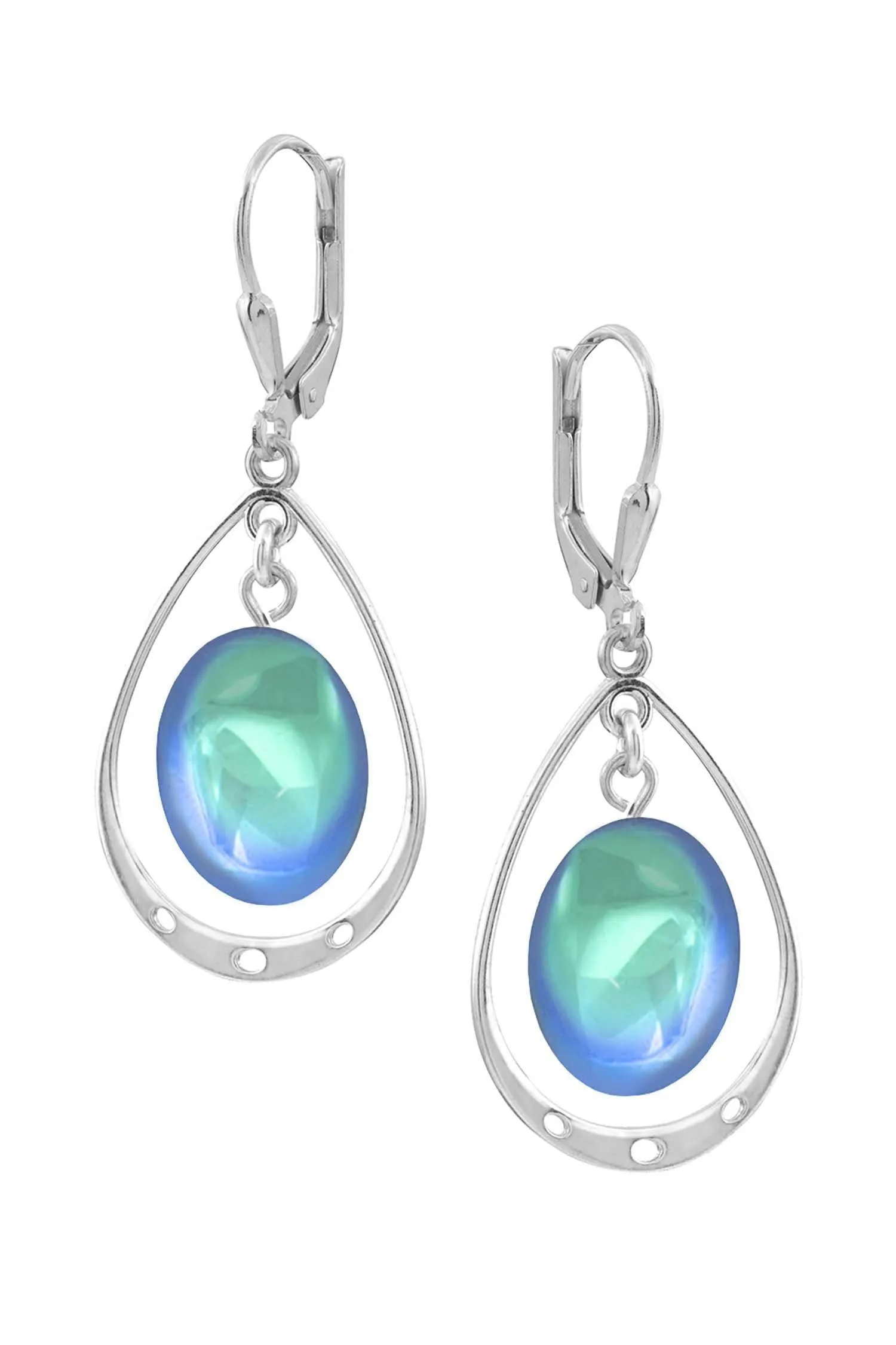 Oval with Loop Earrings