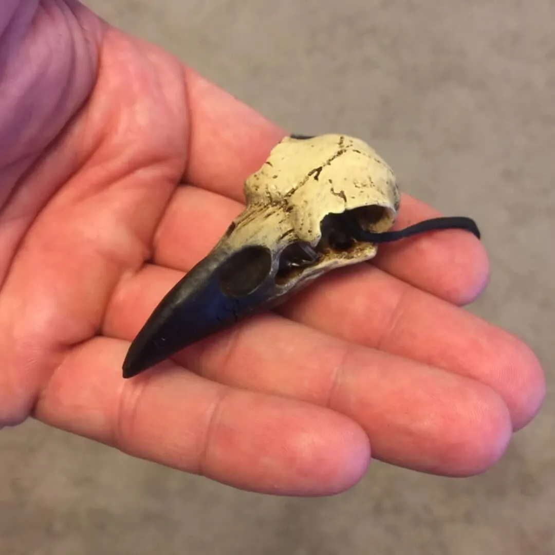 Raven Skull Pendant Necklace