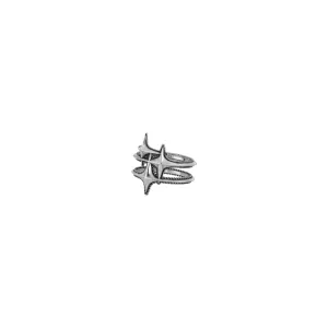 Ring "Galaxy"