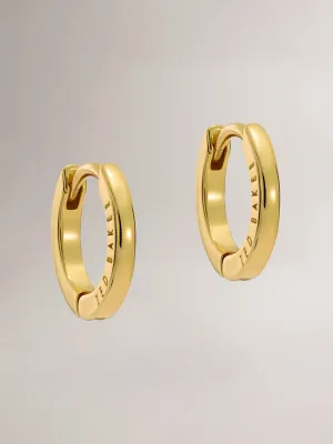 TED BAKER CRISLIE EARRINGS